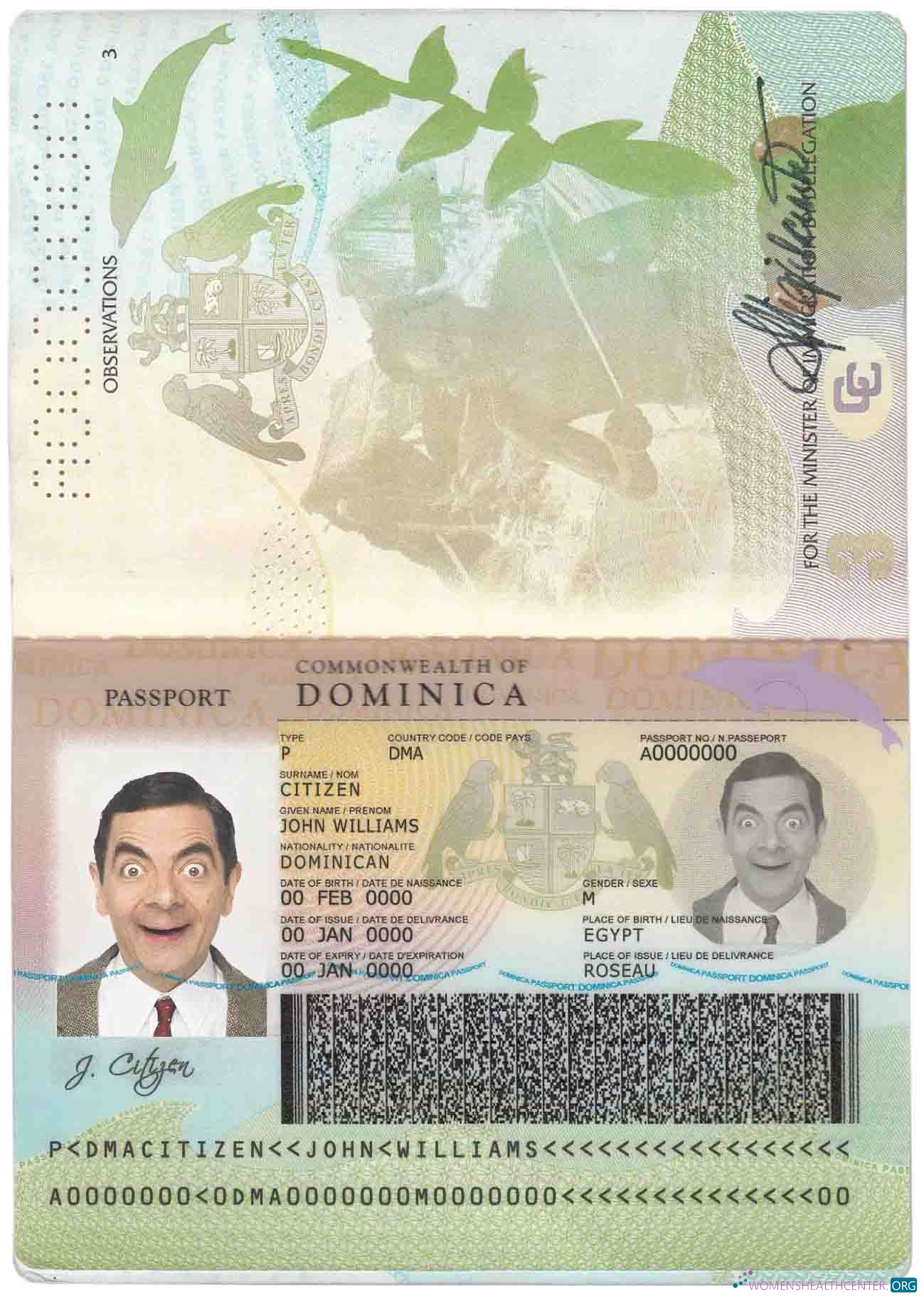 Angola LNG proof of address utility bill template in Word and PDF format